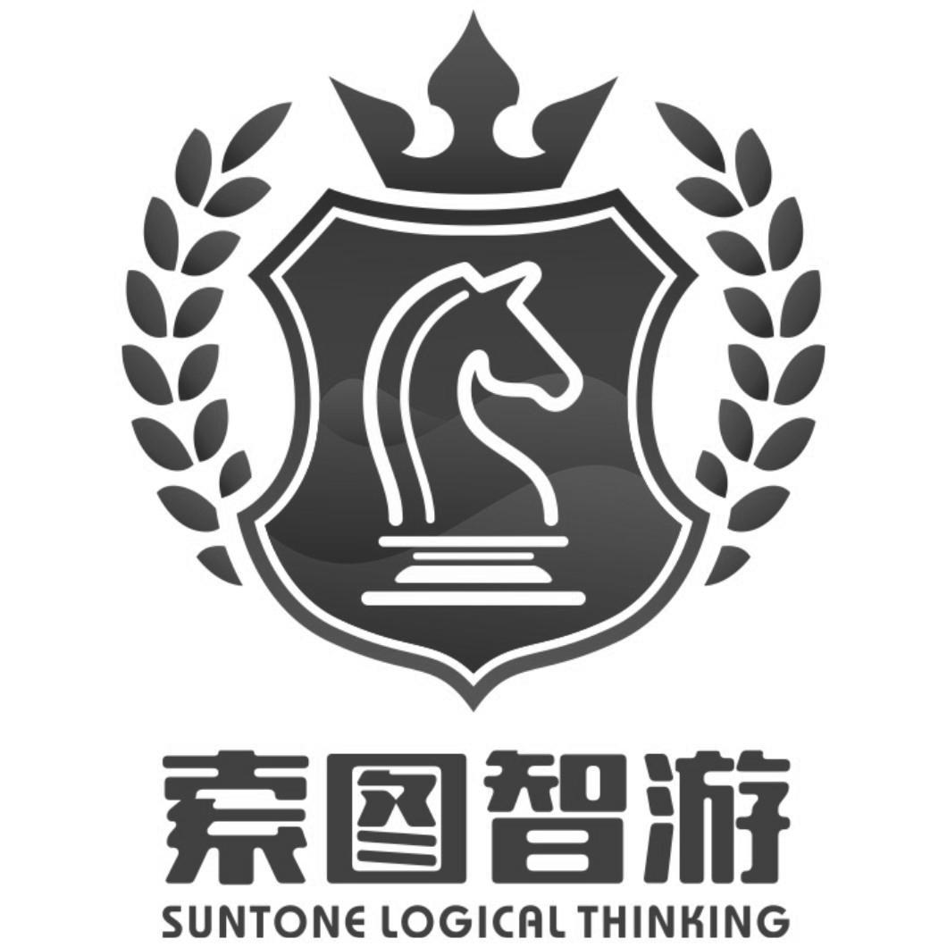 索图智游 SUNTONE LOGICAL THINKING