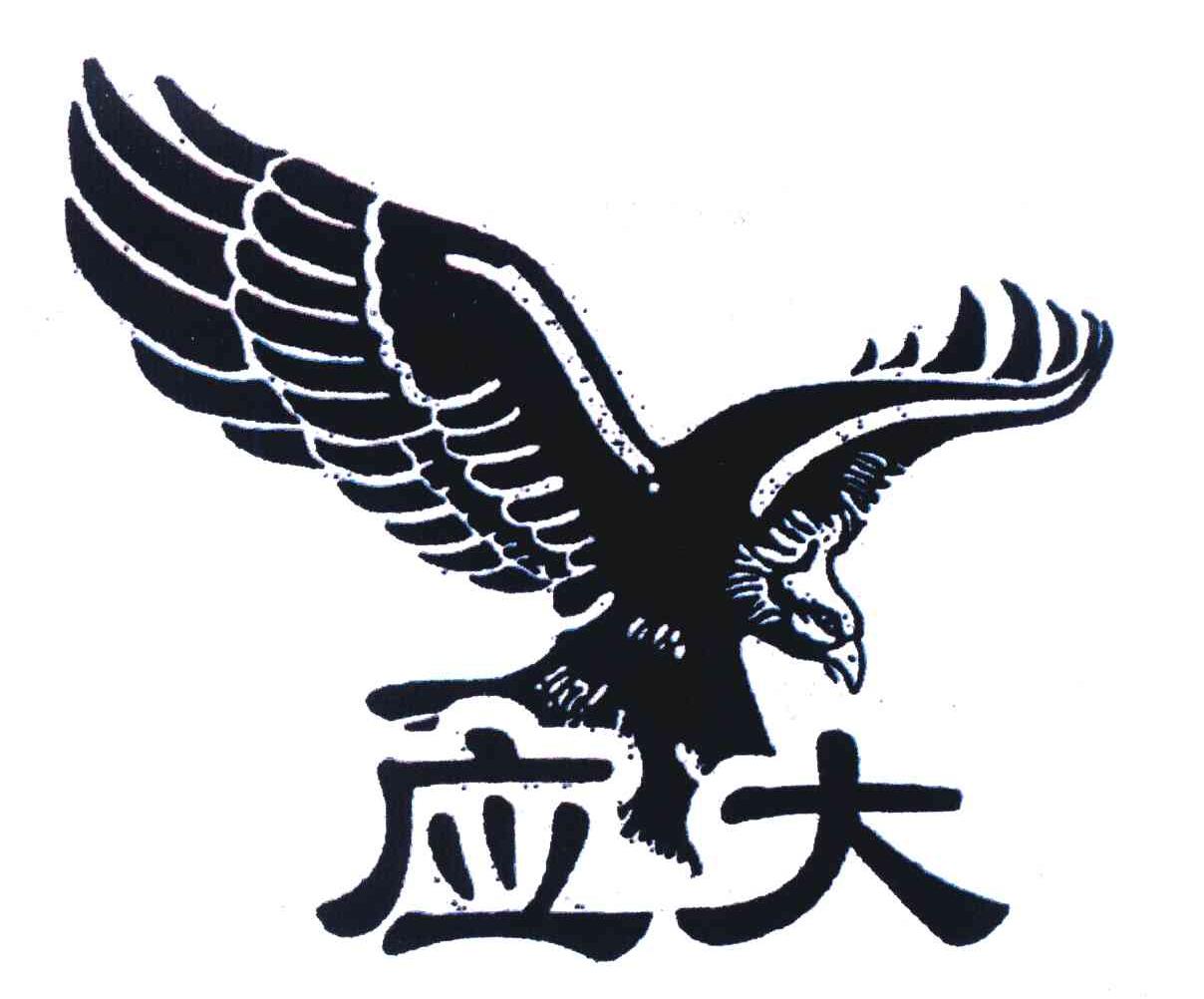 应大