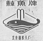 鲸鱼