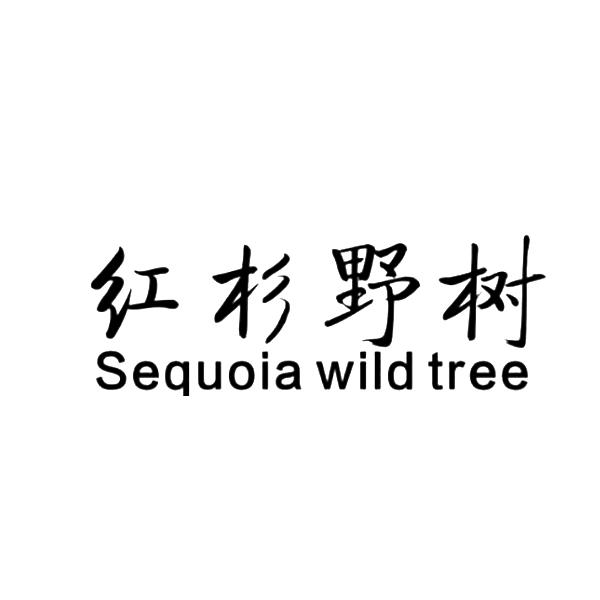 红杉野树 SEQUOIA WILD TREE