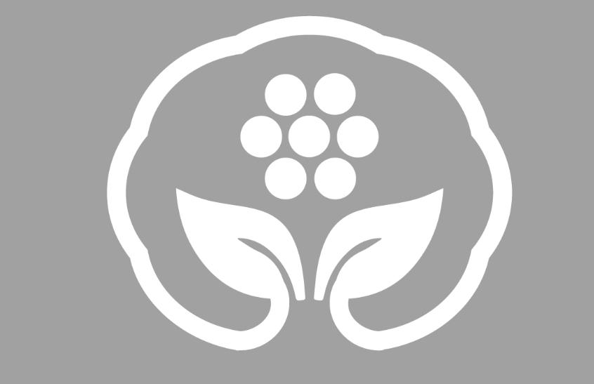 图形