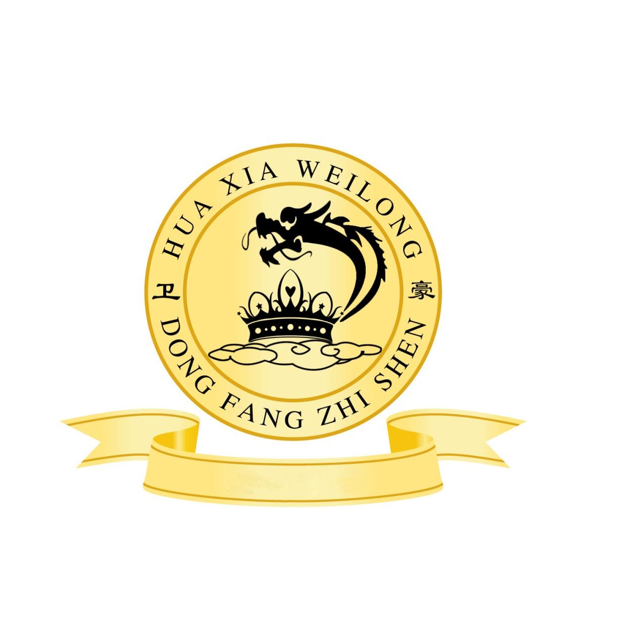 卫豪 HUA XIA WEILONG DONG FANG ZHI SHEN