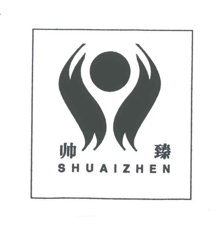 帅臻