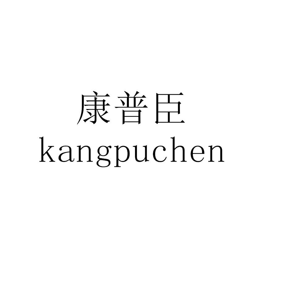 康普臣