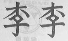 李李