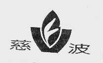 慈波