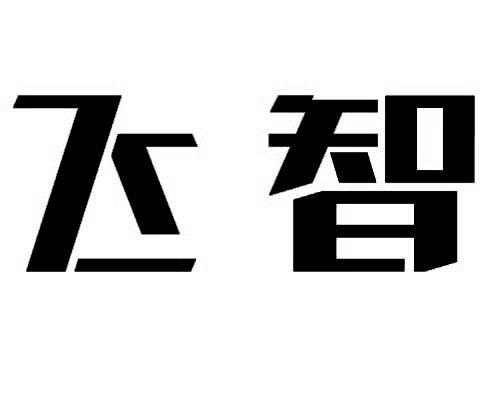 飞智